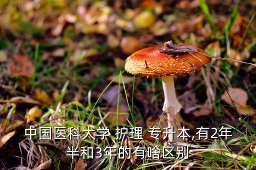 中國醫(yī)科大學(xué) 護理 專升本,有2年半和3年的有啥區(qū)別