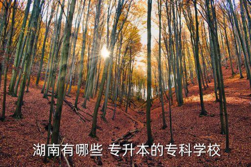 湖南民政學院專升本,湖南哪些公立院?？梢灾鄙?2/專升本