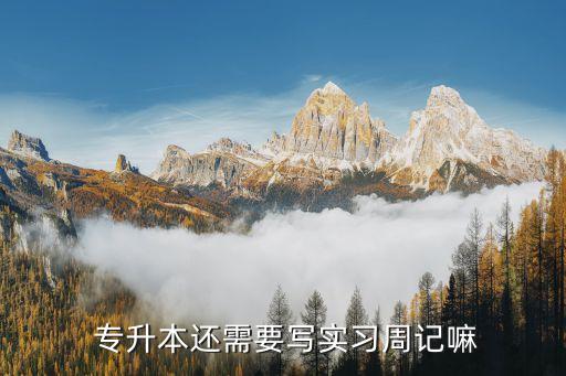 專升本公安實(shí)踐報(bào)告,專升本復(fù)習(xí)計(jì)劃有何不同?