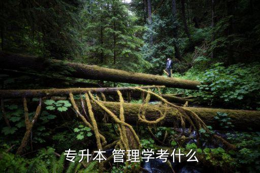  專升本 管理學考什么