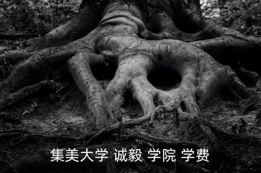 集美大學 誠毅 學院 學費