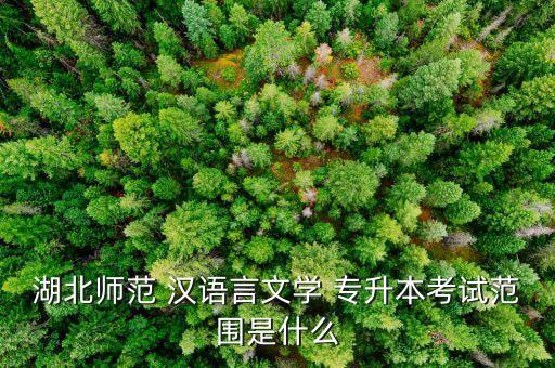 現(xiàn)代漢語專升本題型,成人高考漢語語言文學專業(yè)分三個層次