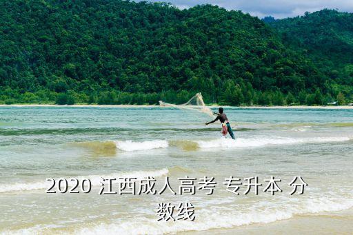 2020 江西成人高考 專升本 分?jǐn)?shù)線