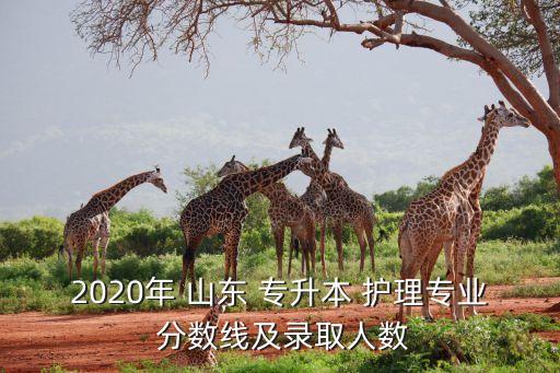 山東護(hù)理專升本分?jǐn)?shù)線,2017年普通專升本分?jǐn)?shù)線出爐!