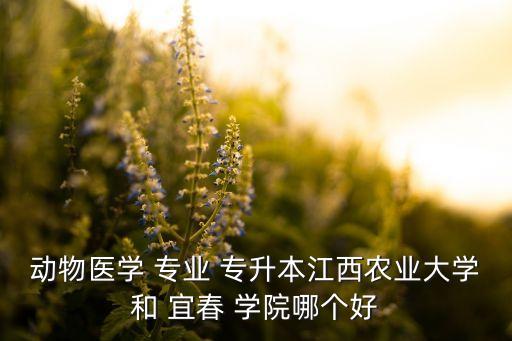 動物醫(yī)學 專業(yè) 專升本江西農業(yè)大學和 宜春 學院哪個好
