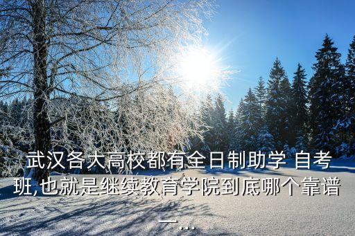  武漢各大高校都有全日制助學(xué) 自考班,也就是繼續(xù)教育學(xué)院到底哪個靠譜一...