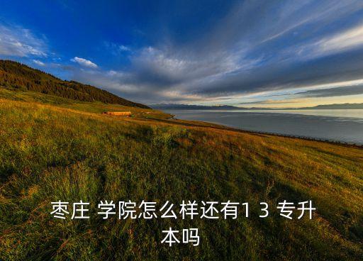棗莊學(xué)院有本校專升本,山東專升本學(xué)校名單出爐!