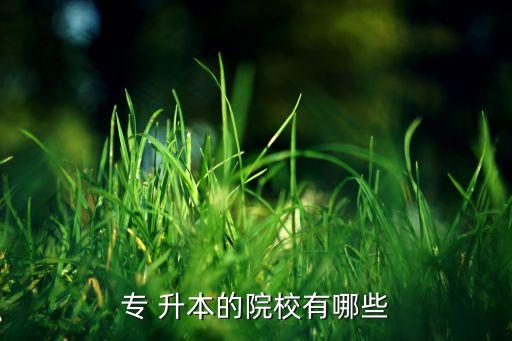 延安電大專升本,首次被列為國家承認(rèn)的升本有多種形式