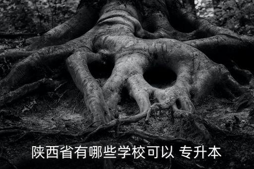 漢中 專升本,陜西理工大學(xué)?？茖W(xué)院成立于漢中