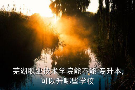  蕪湖職業(yè)技術(shù)學(xué)院能不能 專升本,可以升哪些學(xué)校