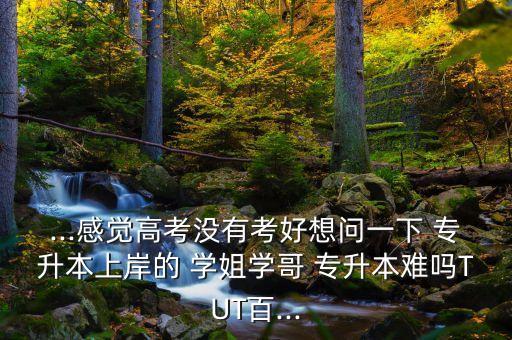 學姐一個月考上專升本,成人教育專升本一般考英語和四級就行