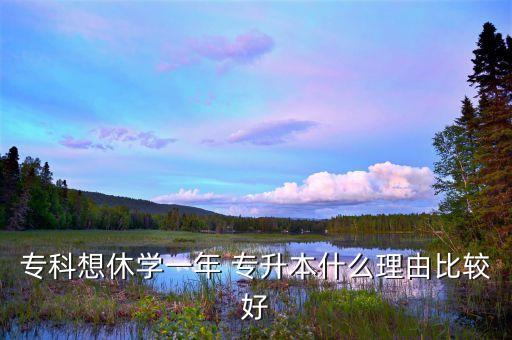 ?？葡胄輰W(xué)一年 專升本什么理由比較好