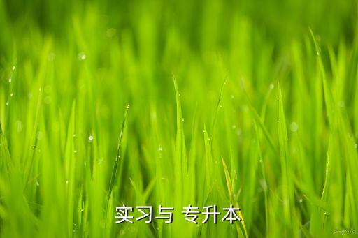 實習與 專升本