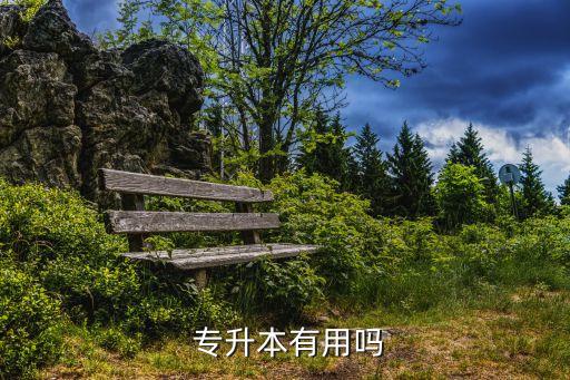 專升本英語好有優(yōu)勢嗎,專升本如何進行英語流利說