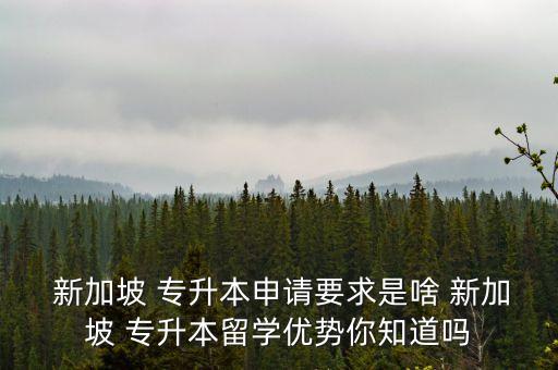  新加坡 專升本申請要求是啥 新加坡 專升本留學優(yōu)勢你知道嗎