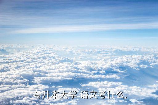  專升本大學(xué) 語文考什么,