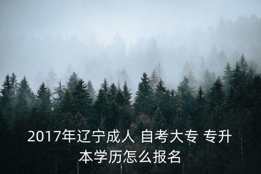 2017年遼寧成人 自考大專(zhuān) 專(zhuān)升本學(xué)歷怎么報(bào)名