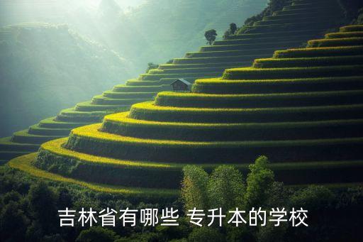  吉林省有哪些 專升本的學(xué)校