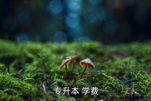  專升本 學(xué)費