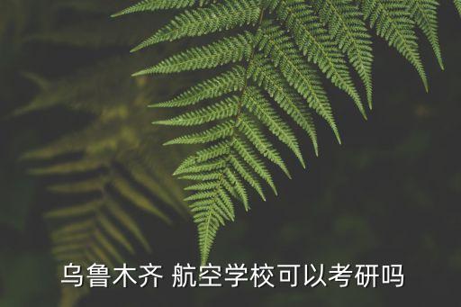  烏魯木齊 航空學(xué)?？梢钥佳袉? class=