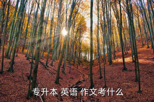  專(zhuān)升本 英語(yǔ) 作文考什么