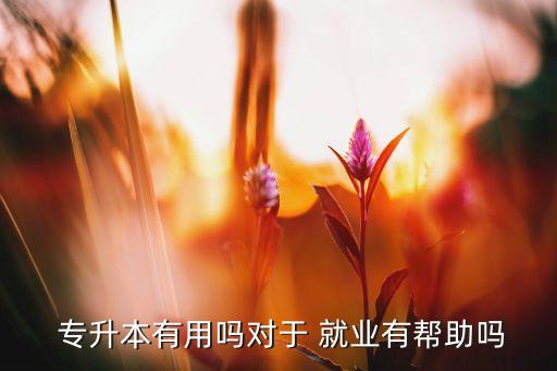  專(zhuān)升本有用嗎對(duì)于 就業(yè)有幫助嗎