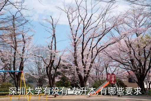 深圳大學有沒有 專升本,有哪些要求
