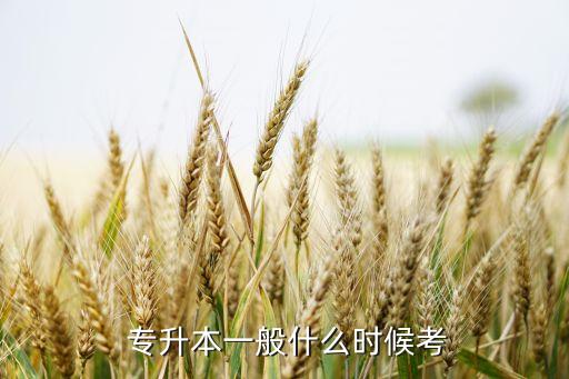 統(tǒng)招專升本的考試時(shí)間,專升本考試是選拔本科生的考試系統(tǒng)