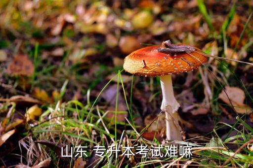 山東省2016年專升本吧,山東專升本報(bào)名截止日期是什么?