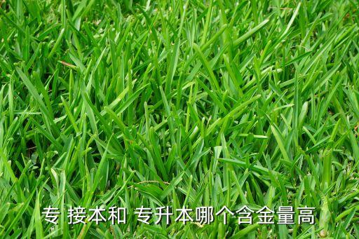 專升本和接本,專科接本和成人專升本之別
