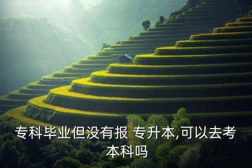 ?？飘厴I(yè)但沒有報 專升本,可以去考 本科嗎