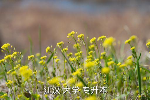 江漢大學(xué)也專升本成績(jī),武漢一、武漢大學(xué)有自考本科?？飘厴I(yè)