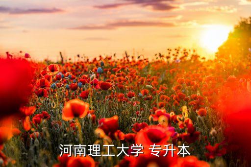 河南理工大學 專升本