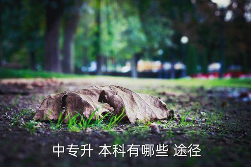 中專升本科有什么途徑,成人教育?？飘厴I(yè)生有兩種選擇