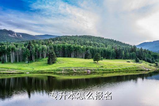 雕塑專升本15年招生簡章,統(tǒng)招專升本報(bào)名流程:1