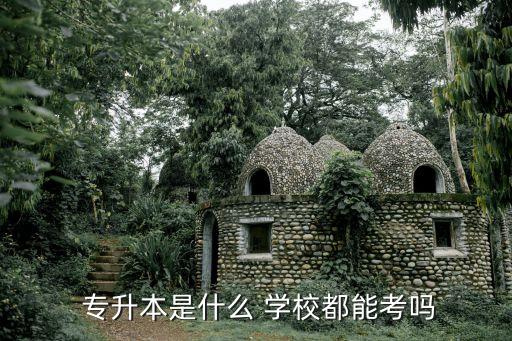 專升本上線就有學校嗎,普通高等教育學校專升本考試簡介: