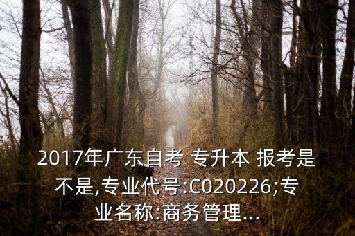 2017年廣東自考 專升本 報考是不是,專業(yè)代號:C020226;專業(yè)名稱:商務管理...