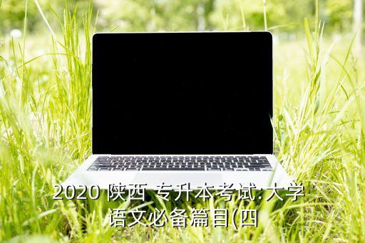 2020 陜西 專升本考試:大學(xué) 語(yǔ)文必備篇目(四