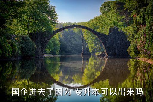 專升本能進國企去,國企要求符合招聘條件的高等學(xué)府畢業(yè)生