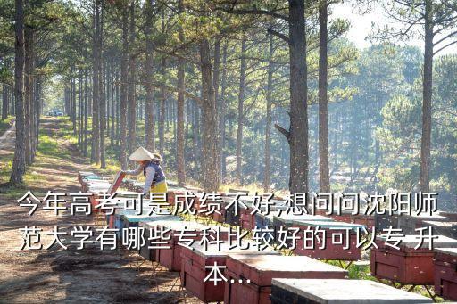 今年高考可是成績不好,想問問沈陽師范大學(xué)有哪些?？票容^好的可以專 升本...