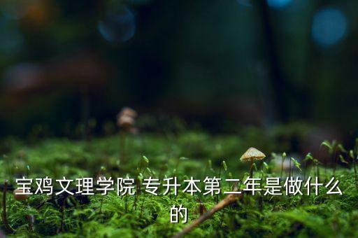 寶雞文理學(xué)院 專升本第二年是做什么的