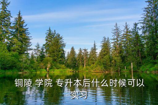 銅陵學(xué)院2018專升本,銅陵-2專升本的分?jǐn)?shù)線信息