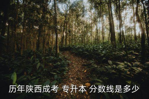 歷年陜西成考 專(zhuān)升本 分?jǐn)?shù)線(xiàn)是多少