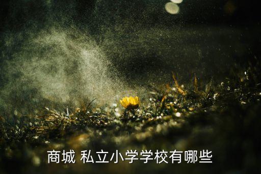 私立聯華 專升本,羅湖區(qū)商場外國語學校有八所小學和幼兒園
