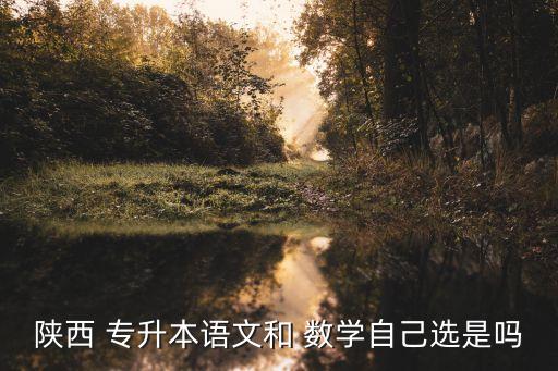 陜西 專(zhuān)升本語(yǔ)文和 數(shù)學(xué)自己選是嗎