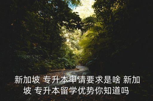  新加坡 專升本申請要求是啥 新加坡 專升本留學優(yōu)勢你知道嗎