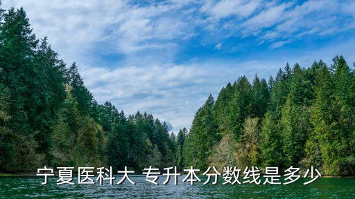  寧夏醫(yī)科大 專升本分數(shù)線是多少
