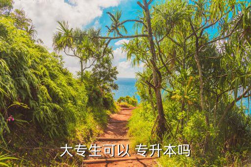 大專生可以 專升本嗎