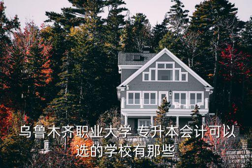  烏魯木齊職業(yè)大學(xué) 專升本會計可以選的學(xué)校有那些