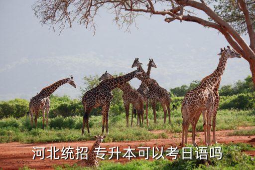 河北省專升本考試試卷,河北高考專業(yè)課考試參考書目清單出爐